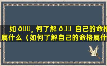 如 🕸 何了解 🐠 自己的命格属什么（如何了解自己的命格属什么五行）